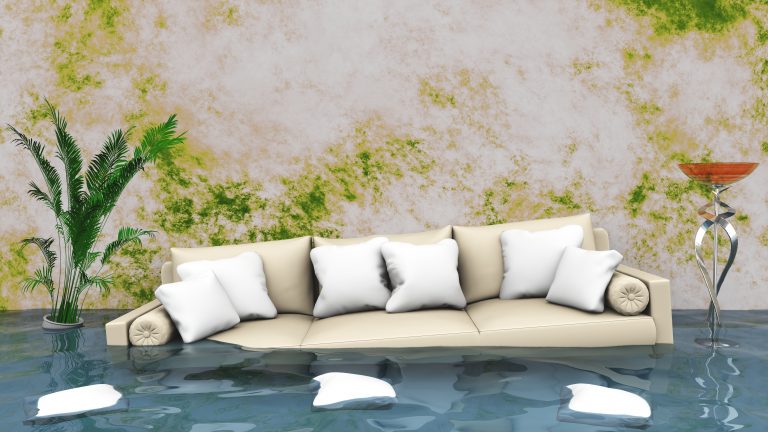 Storm damage clean up, Water damage restoration company in Wasauu