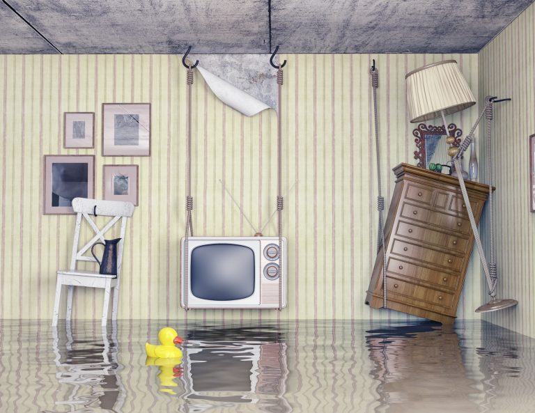How Professionals Can Clean Water Damage