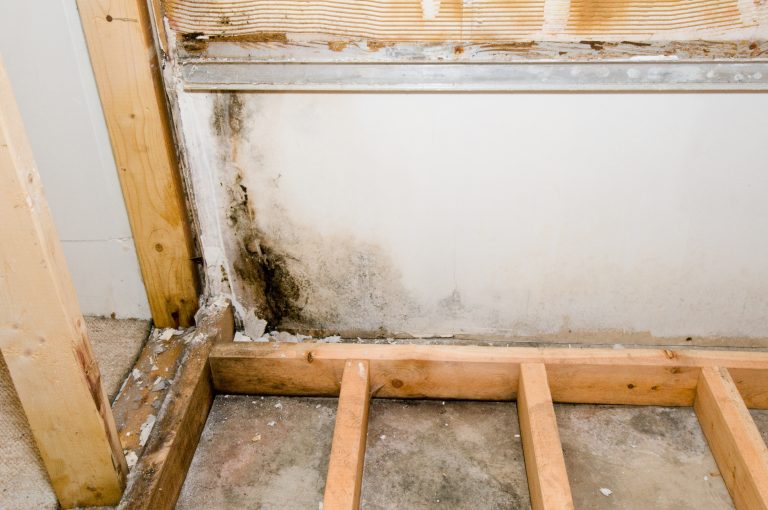 Bathrooms are a common source of mold. Contact K-tech for mold cleaning and be sure it’s all gone.