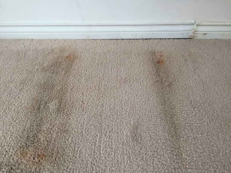 No more dingy carpets! Contact K-tech Kleening for professional carpet cleaning services, plus flooring and rug cleaning services