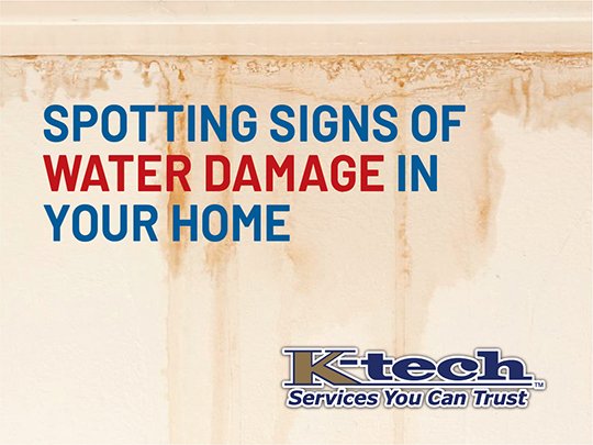 Spotting Water Damage