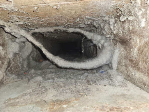 Photo from customer review