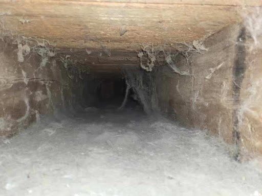 Photo from customer review